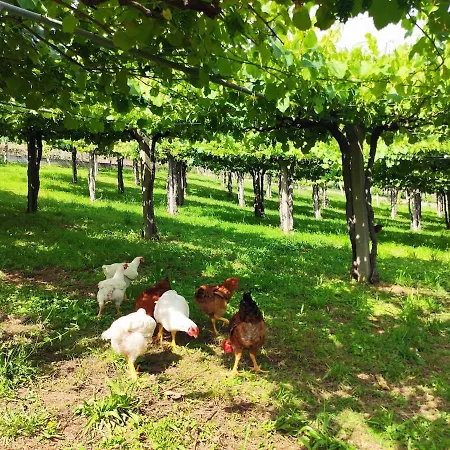 Lagar De Beuvas Appartement