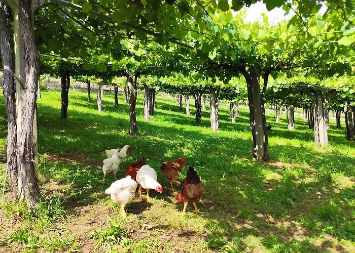 Lagar De Beuvas アパート